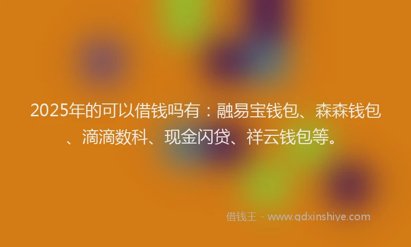 2025年的可以借钱吗有：融易宝钱包、森森钱包、滴滴数科、现金闪贷、祥云钱包等。
