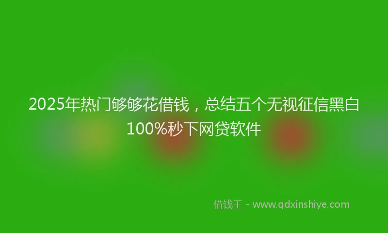 2025年热门够够花借钱，总结五个无视征信黑白100%秒下网贷软件
