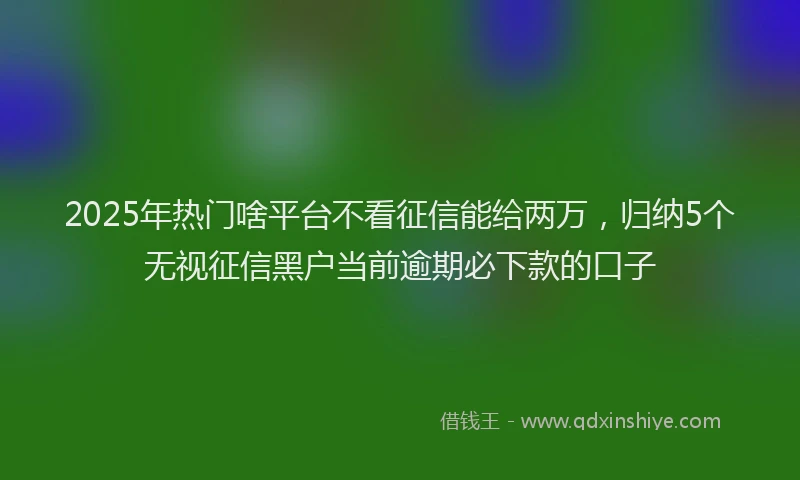 2025年热门啥平台不看征信能给两万，归纳5个无视征信黑户当前逾期必下款的口子