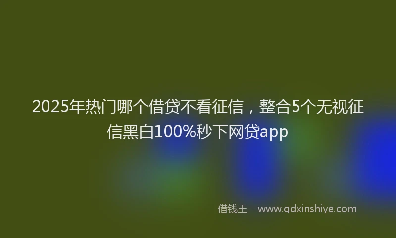 2025年热门哪个借贷不看征信，整合5个无视征信黑白100%秒下网贷app
