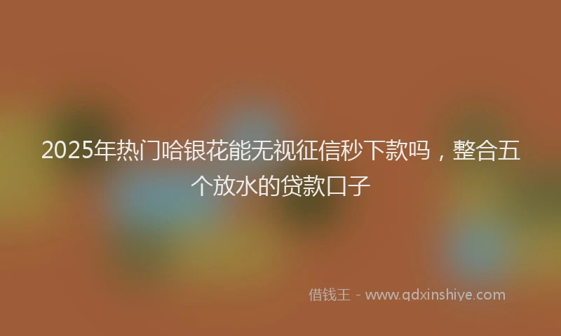 2025年热门哈银花能无视征信秒下款吗，整合五个放水的贷款口子