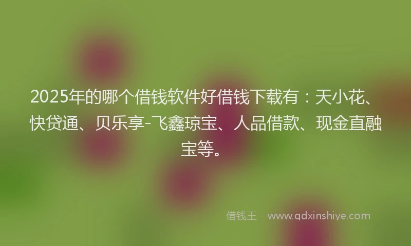 2025年的哪个借钱软件好借钱下载有：天小花、快贷通、贝乐享-飞鑫琼宝、人品借款、现金直融宝等。