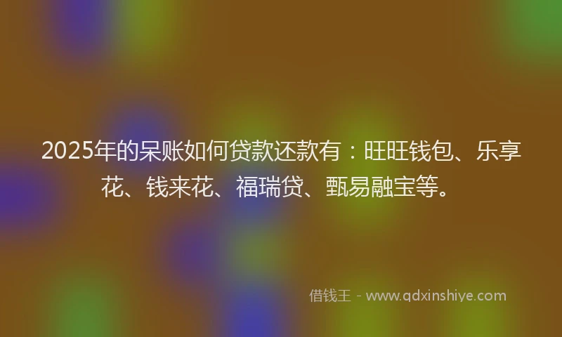 2025年的呆账如何贷款还款有：旺旺钱包、乐享花、钱来花、福瑞贷、甄易融宝等。