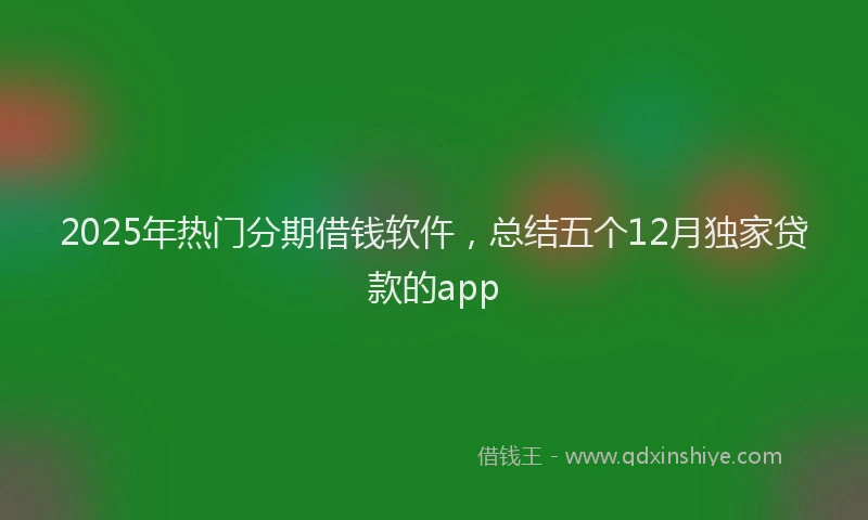 2025年热门分期借钱软仵，总结五个12月独家贷款的app