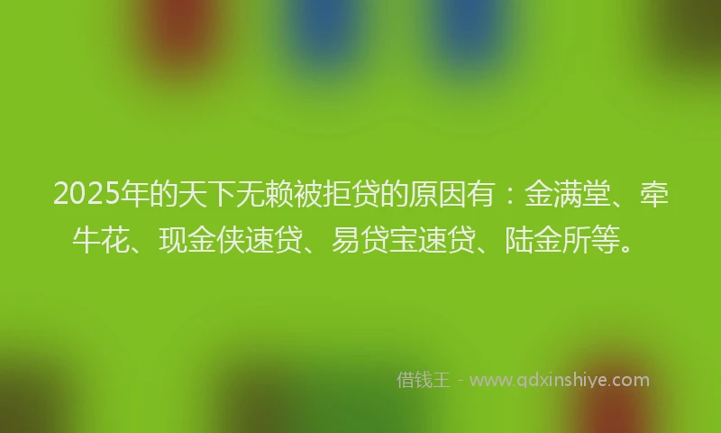 2025年的天下无赖被拒贷的原因有：金满堂、牵牛花、现金侠速贷、易贷宝速贷、陆金所等。