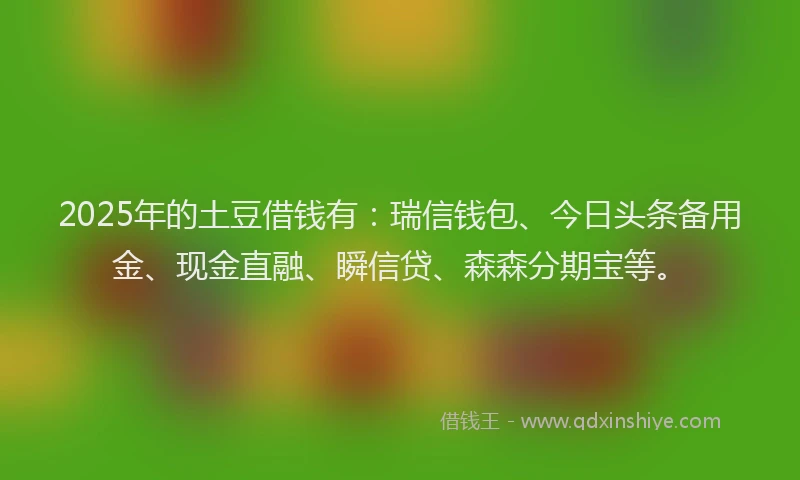 2025年的土豆借钱有：瑞信钱包、今日头条备用金、现金直融、瞬信贷、森森分期宝等。