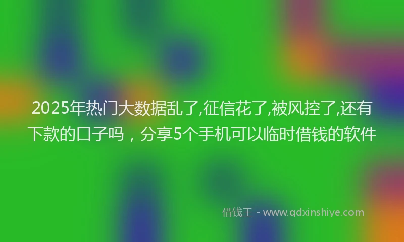 2025年热门大数据乱了,征信花了,被风控了,还有下款的口子吗，分享5个手机可以临时借钱的软件