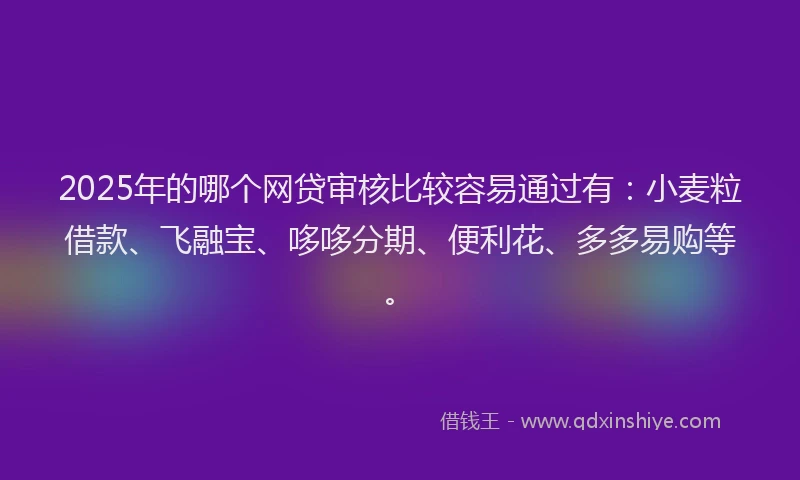 2025年的哪个网贷审核比较容易通过有：小麦粒借款、飞融宝、哆哆分期、便利花、多多易购等。