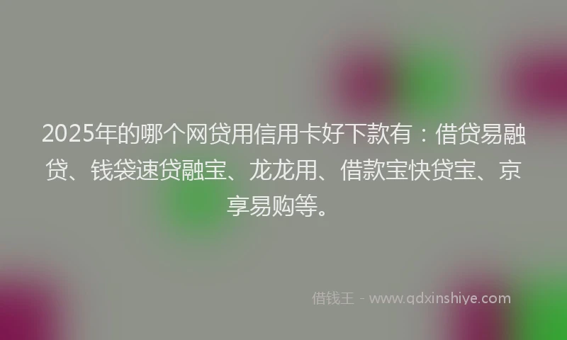 2025年的哪个网贷用信用卡好下款有：借贷易融贷、钱袋速贷融宝、龙龙用、借款宝快贷宝、京享易购等。