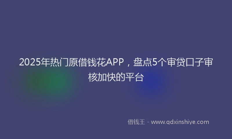 2025年热门原借钱花APP，盘点5个审贷口子审核加快的平台