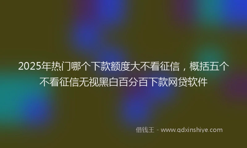 2025年热门哪个下款额度大不看征信，概括五个不看征信无视黑白百分百下款网贷软件