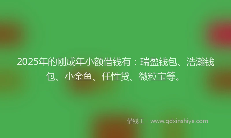 2025年的刚成年小额借钱有：瑞盈钱包、浩瀚钱包、小金鱼、任性贷、微粒宝等。