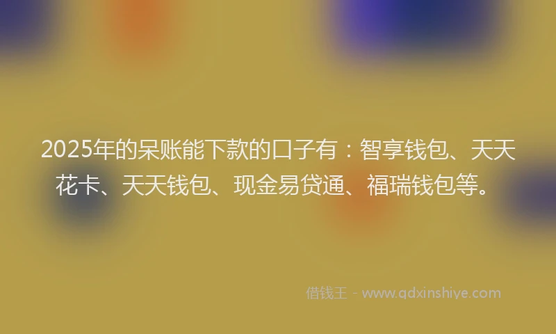 2025年的呆账能下款的口子有：智享钱包、天天花卡、天天钱包、现金易贷通、福瑞钱包等。