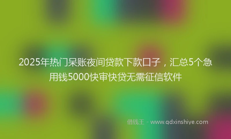 2025年热门呆账夜间贷款下款口子，汇总5个急用钱5000快审快贷无需征信软件