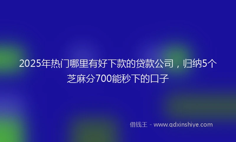 2025年热门哪里有好下款的贷款公司，归纳5个芝麻分700能秒下的口子