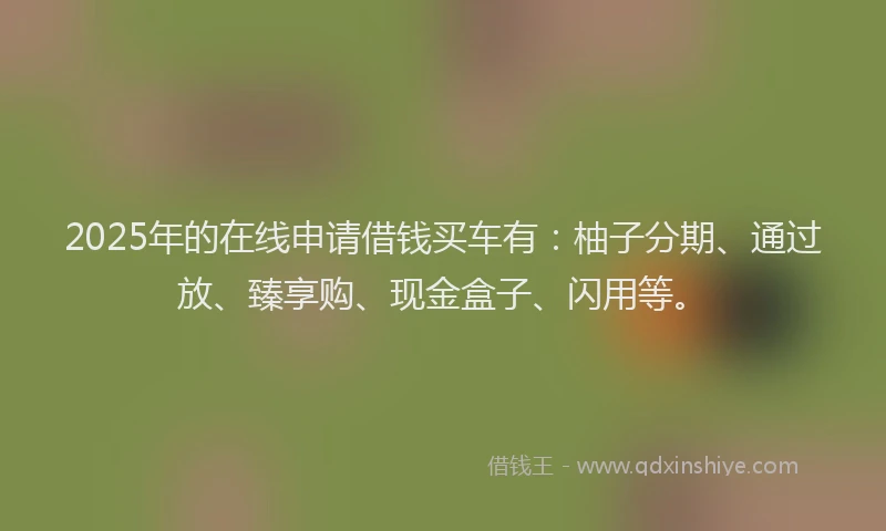 2025年的在线申请借钱买车有：柚子分期、通过放、臻享购、现金盒子、闪用等。
