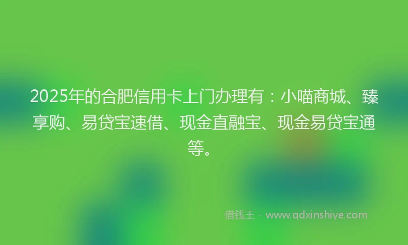 2025年的合肥信用卡上门办理有：小喵商城、臻享购、易贷宝速借、现金直融宝、现金易贷宝通等。