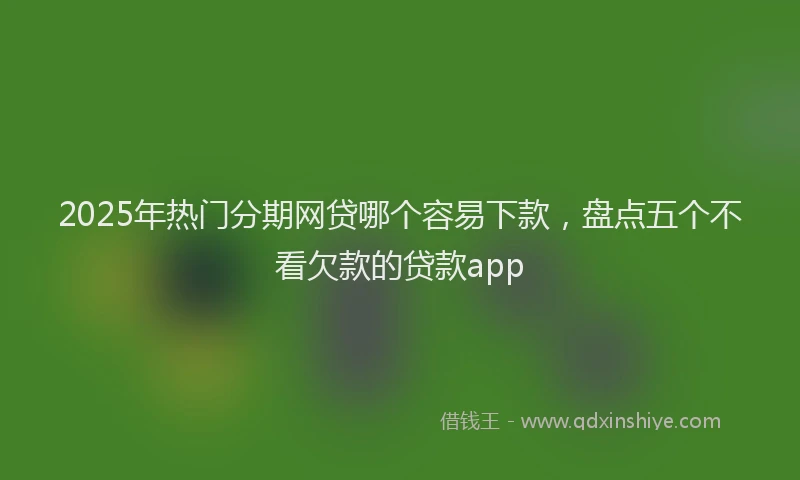 2025年热门分期网贷哪个容易下款，盘点五个不看欠款的贷款app