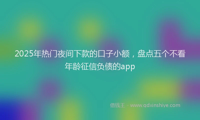 2025年热门夜间下款的口子小额，盘点五个不看年龄征信负债的app
