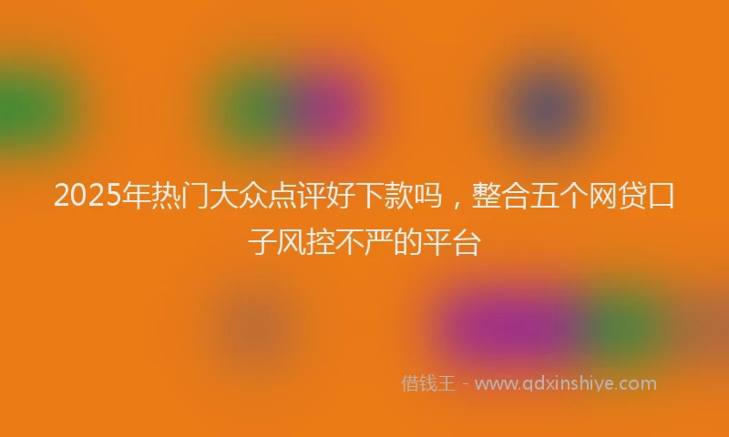 2025年热门大众点评好下款吗，整合五个网贷口子风控不严的平台