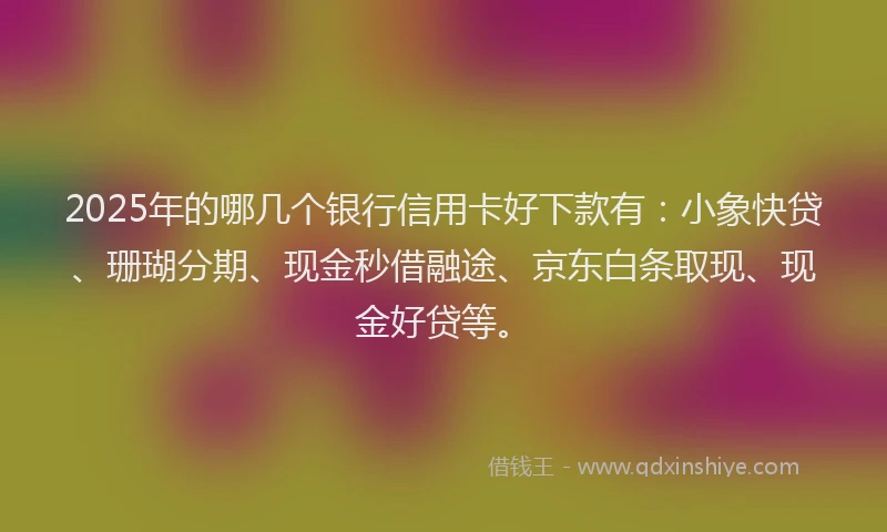 2025年的哪几个银行信用卡好下款有：小象快贷、珊瑚分期、现金秒借融途、京东白条取现、现金好贷等。