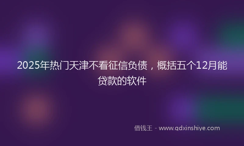 2025年热门天津不看征信负债，概括五个12月能贷款的软件