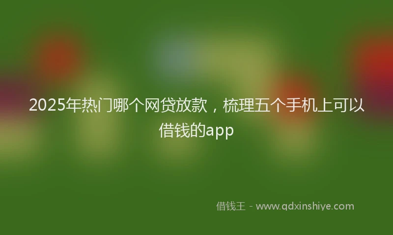 2025年热门哪个网贷放款，梳理五个手机上可以借钱的app
