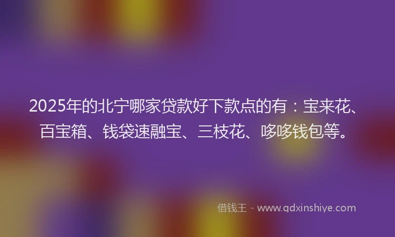 2025年的北宁哪家贷款好下款点的有：宝来花、百宝箱、钱袋速融宝、三枝花、哆哆钱包等。