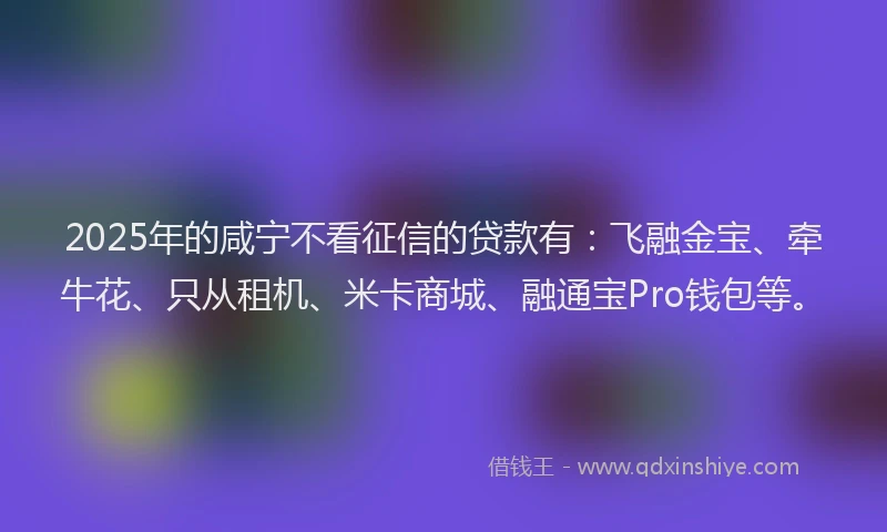 2025年的咸宁不看征信的贷款有：飞融金宝、牵牛花、只从租机、米卡商城、融通宝Pro钱包等。