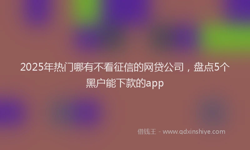 2025年热门哪有不看征信的网贷公司，盘点5个黑户能下款的app