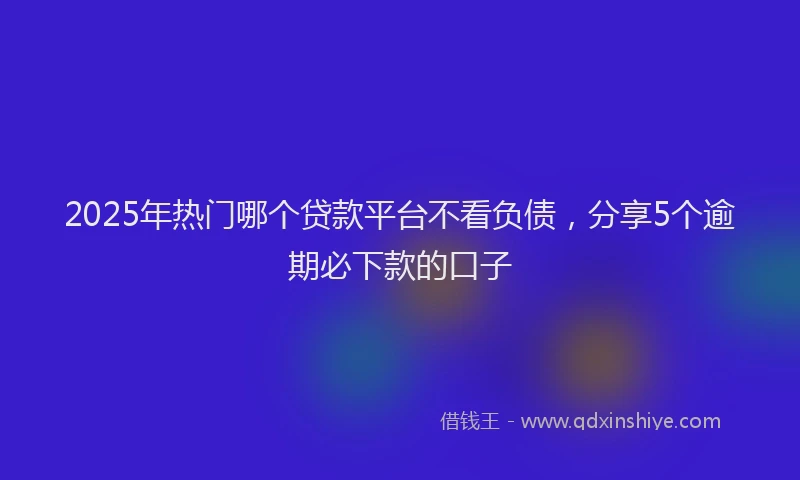 2025年热门哪个贷款平台不看负债，分享5个逾期必下款的口子