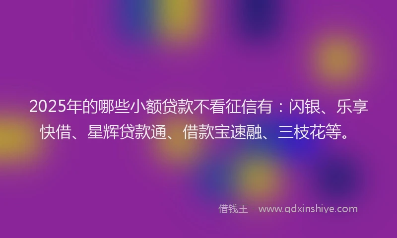 2025年的哪些小额贷款不看征信有：闪银、乐享快借、星辉贷款通、借款宝速融、三枝花等。