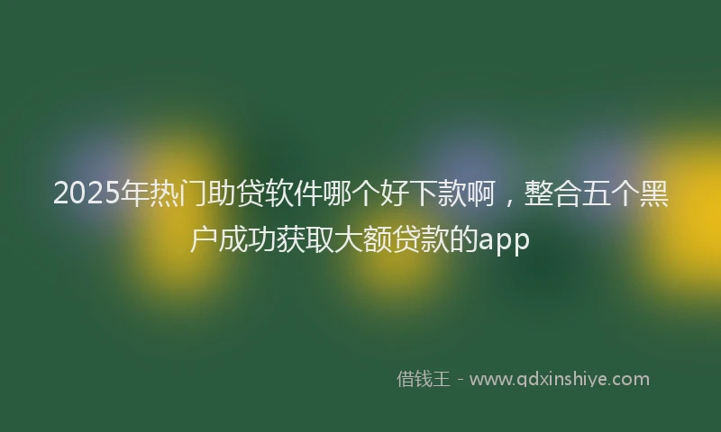 2025年热门助贷软件哪个好下款啊，整合五个黑户成功获取大额贷款的app