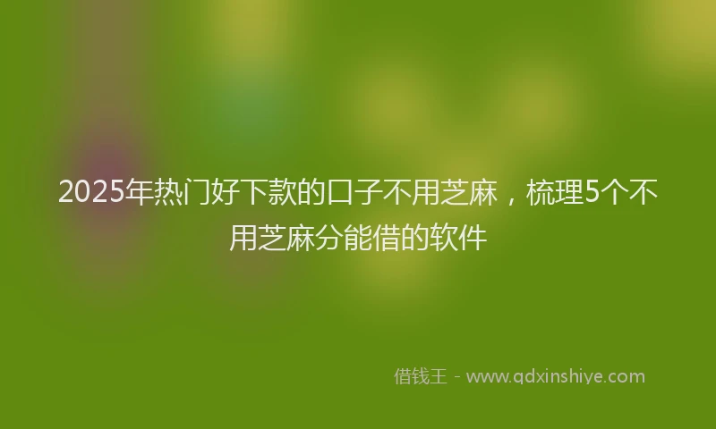 2025年热门好下款的口子不用芝麻，梳理5个不用芝麻分能借的软件