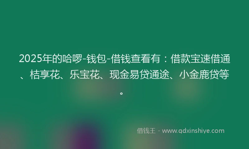 2025年的哈啰-钱包-借钱查看有：借款宝速借通、桔享花、乐宝花、现金易贷通途、小金鹿贷等。