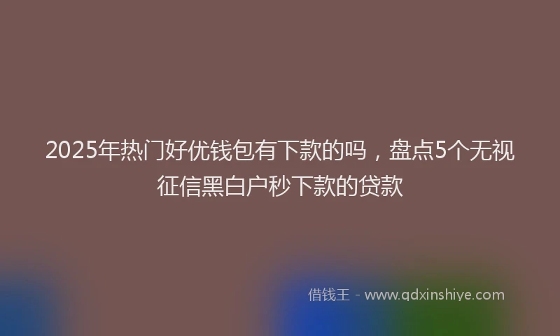 2025年热门好优钱包有下款的吗，盘点5个无视征信黑白户秒下款的贷款
