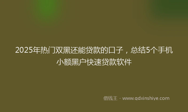 2025年热门双黑还能贷款的口子，总结5个手机小额黑户快速贷款软件