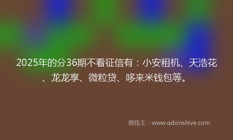 2025年的分36期不看征信有：小安租机、天浩花、龙龙享、微粒贷、哆来米钱包等。