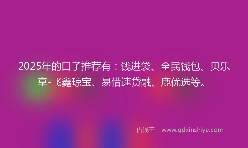 2025年的口子推荐有：钱进袋、全民钱包、贝乐享-飞鑫琼宝、易借速贷融、鹿优选等。