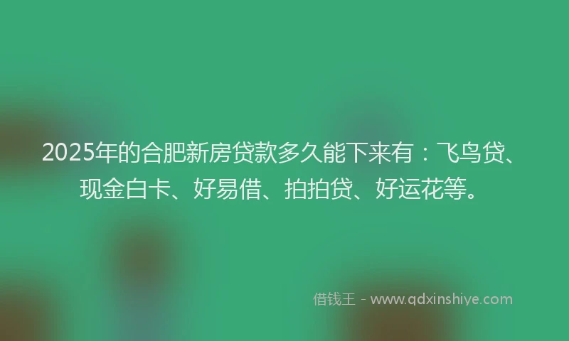 2025年的合肥新房贷款多久能下来有：飞鸟贷、现金白卡、好易借、拍拍贷、好运花等。