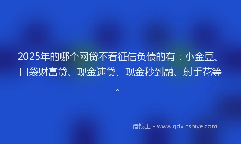 2025年的哪个网贷不看征信负债的有：小金豆、口袋财富贷、现金速贷、现金秒到融、射手花等。