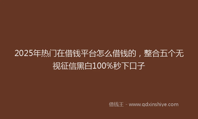 2025年热门在借钱平台怎么借钱的，整合五个无视征信黑白100%秒下口子