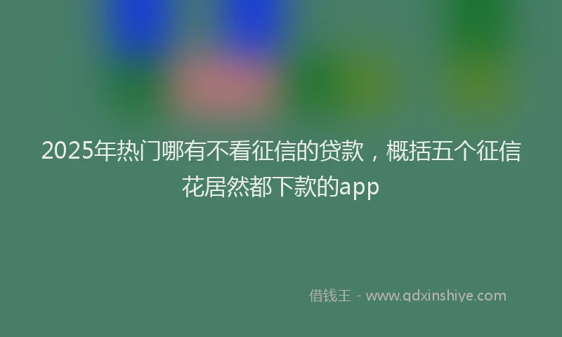 2025年热门哪有不看征信的贷款，概括五个征信花居然都下款的app