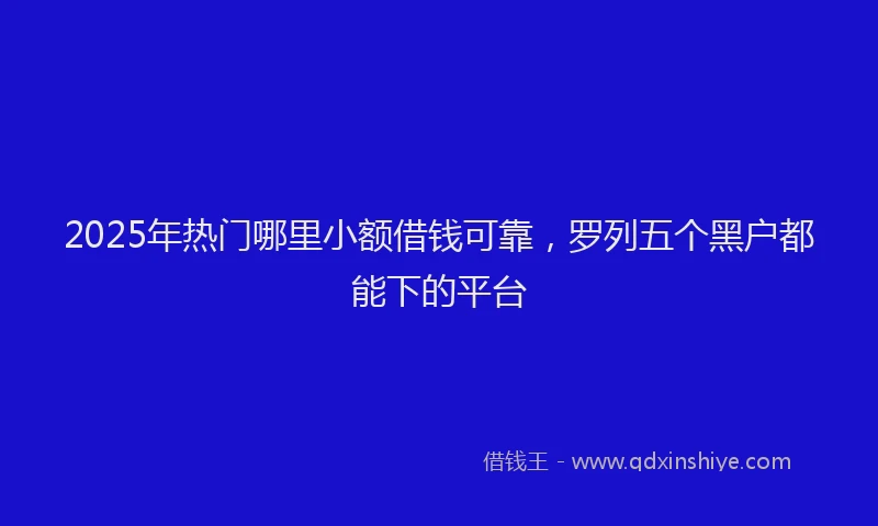 2025年热门哪里小额借钱可靠，罗列五个黑户都能下的平台