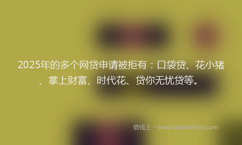 2025年的多个网贷申请被拒有：口袋贷、花小猪、掌上财富、时代花、贷你无忧贷等。