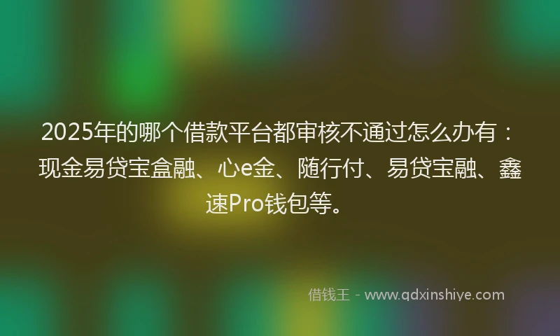 2025年的哪个借款平台都审核不通过怎么办有：现金易贷宝盒融、心e金、随行付、易贷宝融、鑫速Pro钱包等。