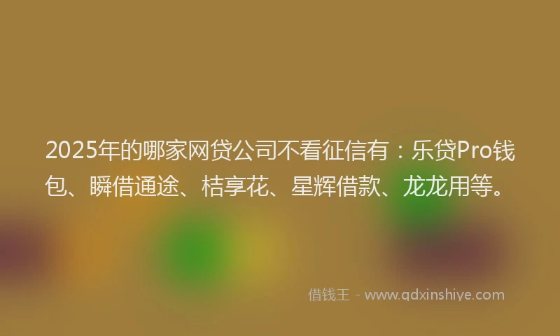 2025年的哪家网贷公司不看征信有：乐贷Pro钱包、瞬借通途、桔享花、星辉借款、龙龙用等。
