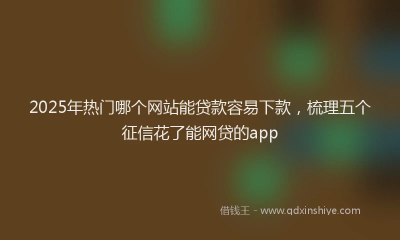 2025年热门哪个网站能贷款容易下款，梳理五个征信花了能网贷的app