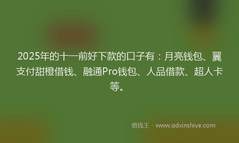 2025年的十一前好下款的口子有：月亮钱包、翼支付甜橙借钱、融通Pro钱包、人品借款、超人卡等。