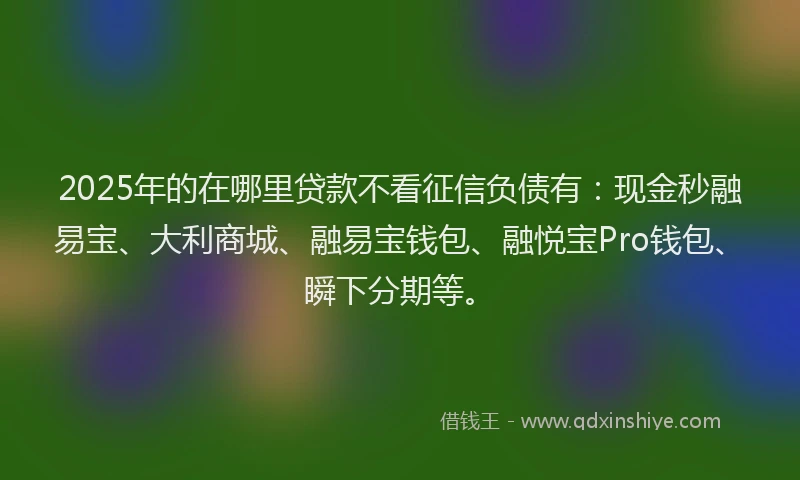 2025年的在哪里贷款不看征信负债有：现金秒融易宝、大利商城、融易宝钱包、融悦宝Pro钱包、瞬下分期等。
